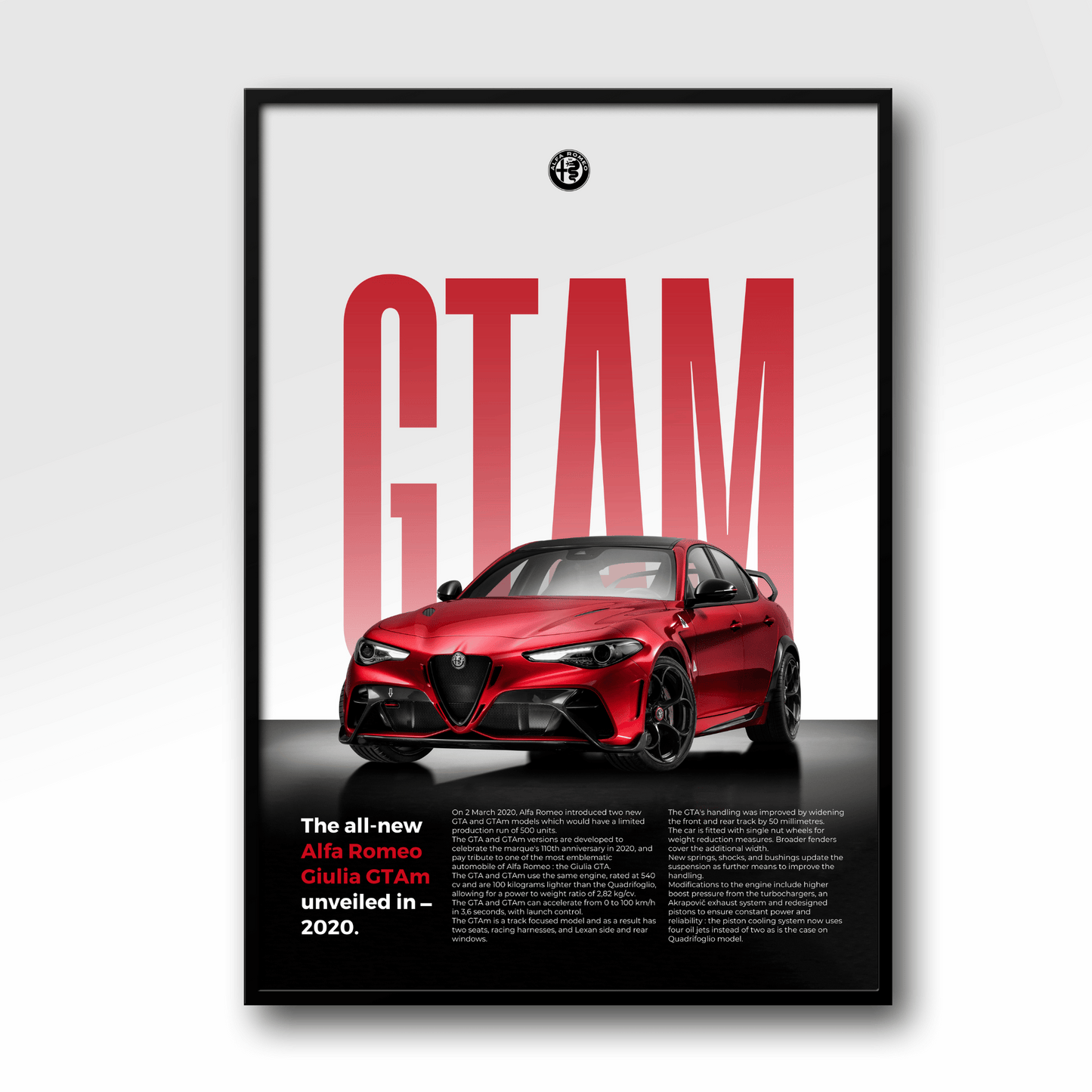 Alfa Romeo Giulia GTAm | Classique